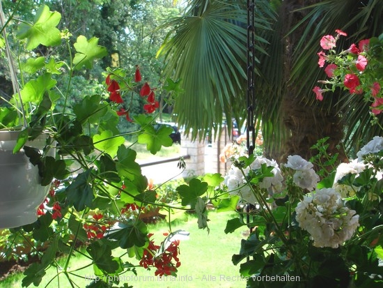 POREC-SPADICI > Grizeljs Terassenausblick