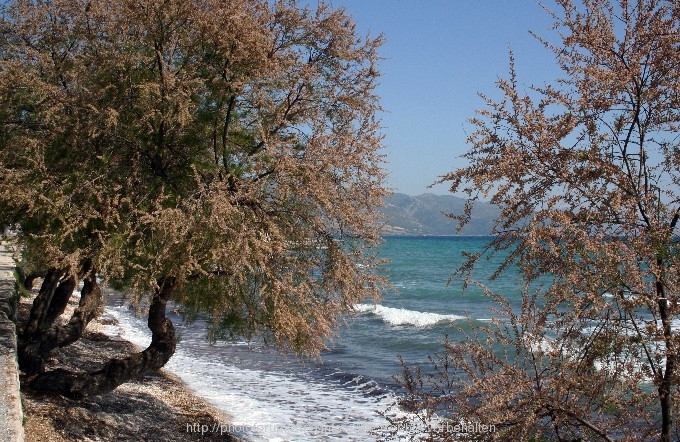 OREBIC > Uferpromenade