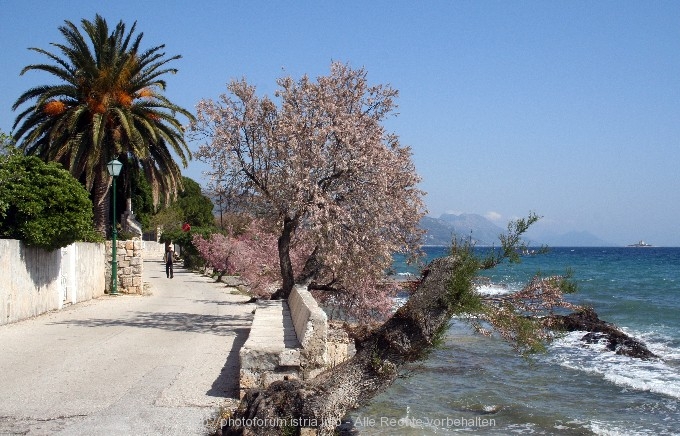 OREBIC > Uferpromenade