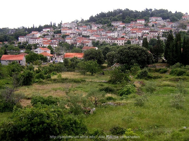 KORCULA > Zrnovo