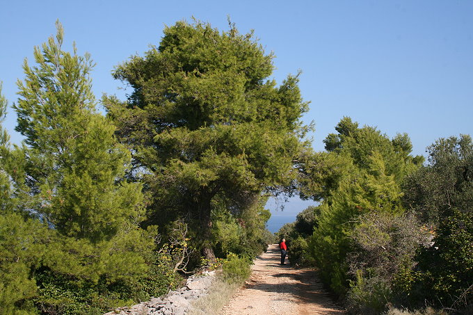 Wandern bei Vela Luka