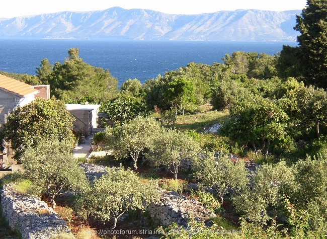 VELA LUKA > Blick nach Hvar