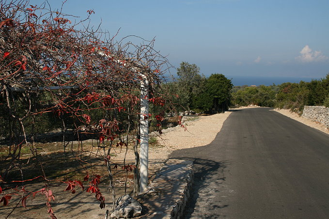 Straße zm Camp Mindel