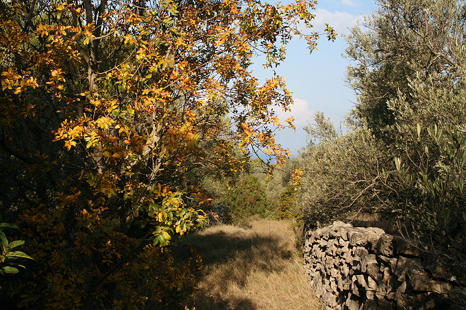 Wandern bei Vela Luka 4