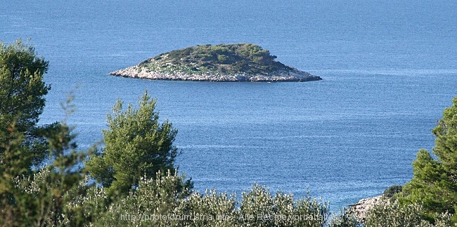 VELA LUKA > kleine Insel