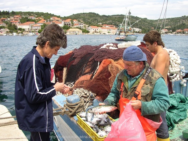 VELA LUKA > frischer Fisch