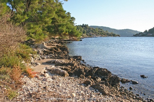 VELA LUKA > Bucht Gradina