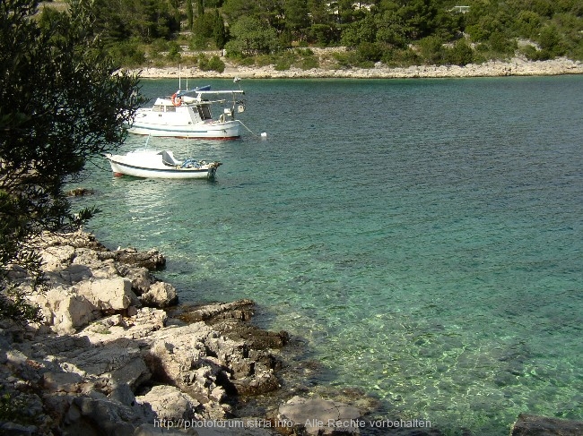 VELA LUKA > Camp Mindel > Bucht Stracinscica