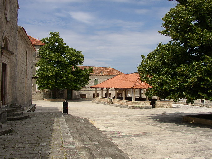 BLATO > Linden im Mai
