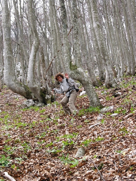 NATURPARK UCKA > Ausflug Ucka 22