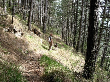 NATURPARK UCKA > Ausflug Ucka 23