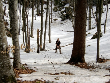 NATURPARK UCKA > Nono im Schnee (Auf dem Weg zum Planik; Ucka)