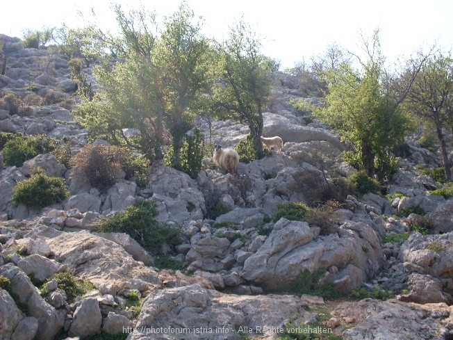 in den Bergen