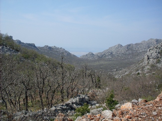 Reisebericht Velebit Teil 4 10