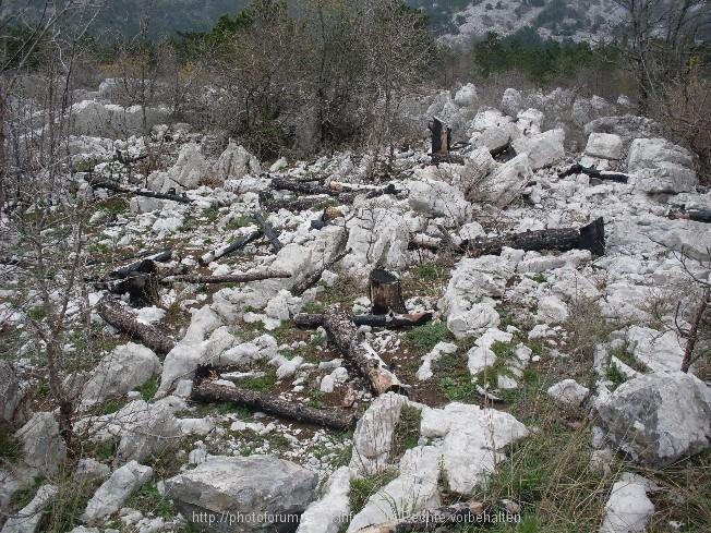 Reisebericht Velebit Teil 4 9