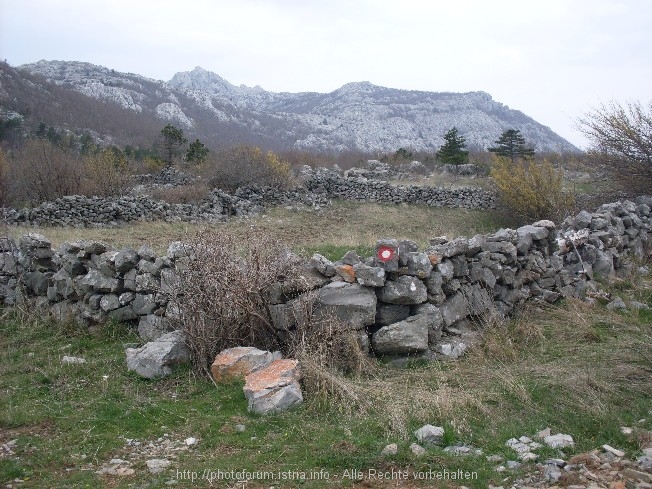 Reisebericht Velebit Teil 4 3