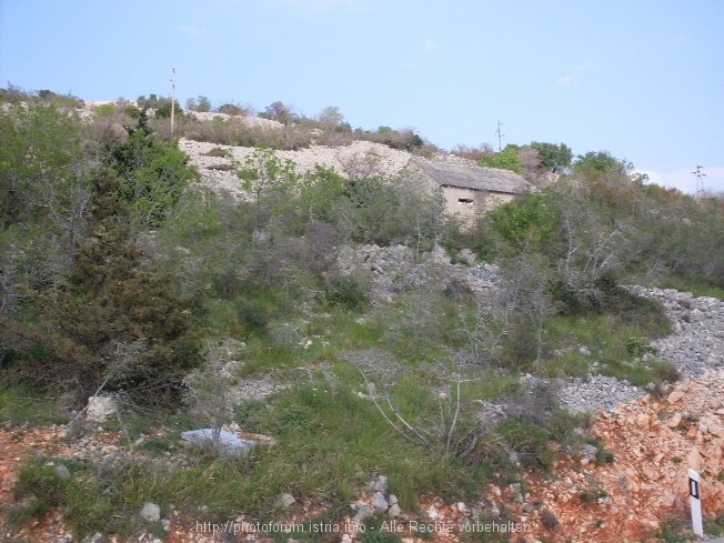 Küste/Velebit