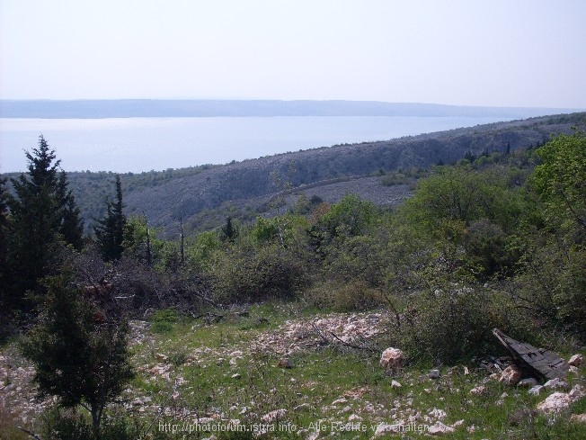 Velebit