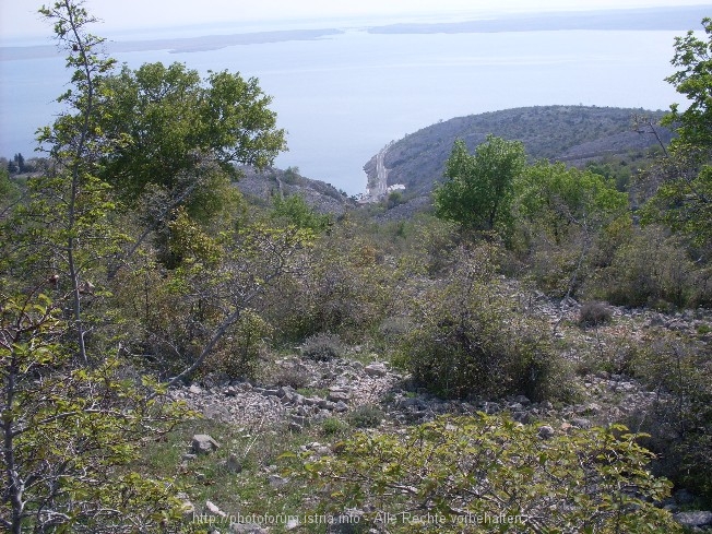 Velebit 10