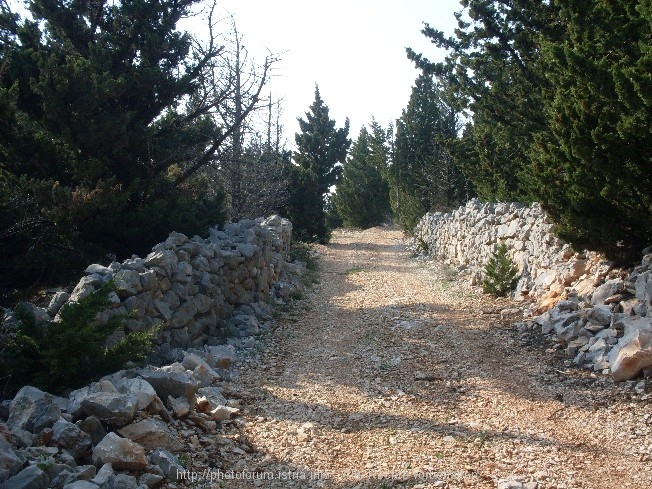 Velebit 4