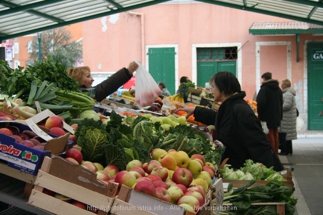 Rovinj im Winter 7