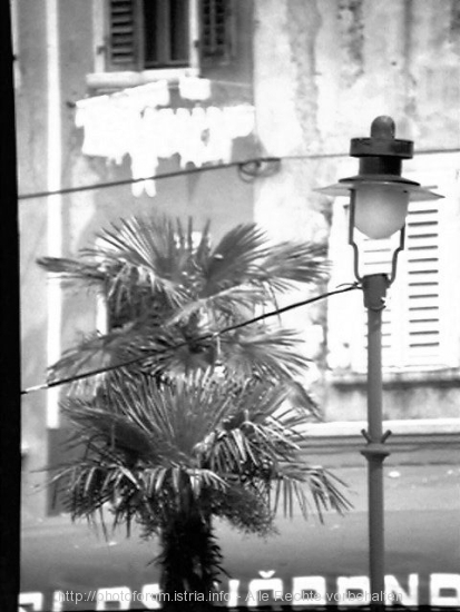 1983 Rovinj