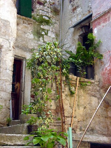 ROVINJ > Altstadt > Gasse - eindrucksvoller Innenhof