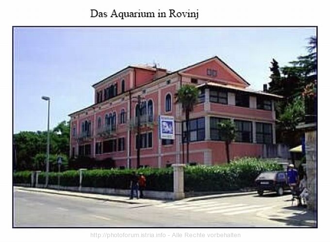 ROVINJ > Aquarium