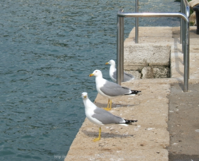 Rovinj > Impressionen