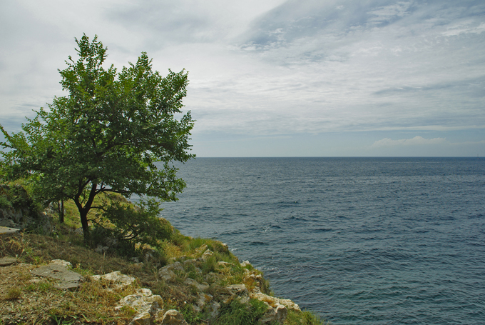 Rovinj Stadt im Meer 3