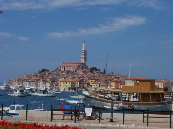 ROVINJ > Hafen und Panorama