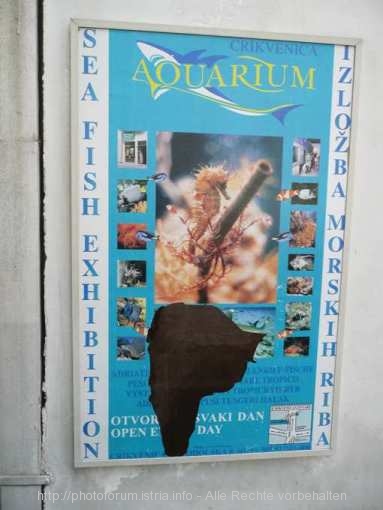 CRIKVENICA > Aquarium