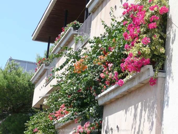 CRIKVENICA > Strandpromenade