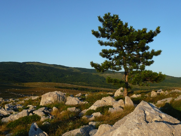 SENJ>Von Senj aus ins Gebirge