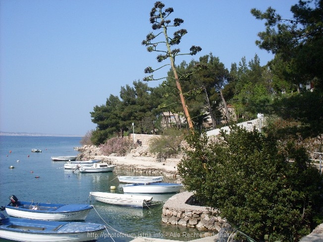 Starigrad Paklenica 8