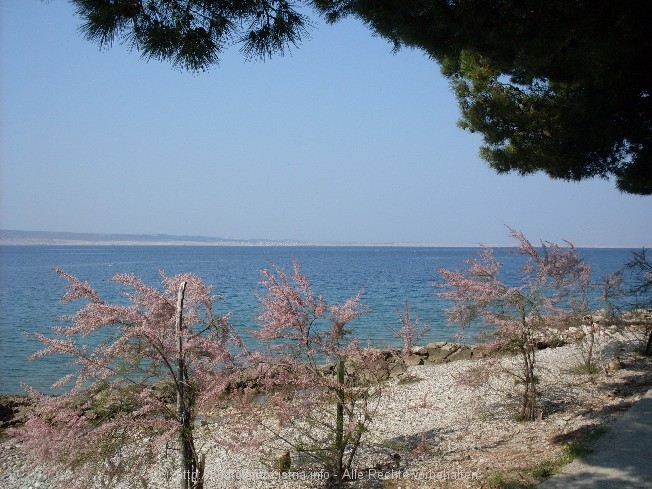 Starigrad Paklenica 10