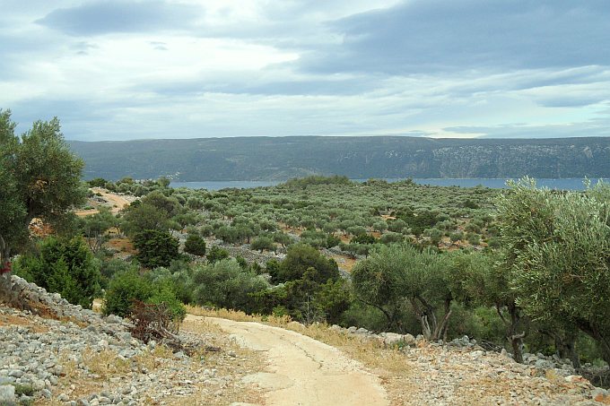 Wanderweg zwischen Cres und Valun 02