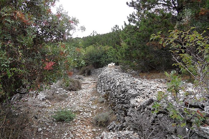 Wanderweg nach Sv. Bartolomej