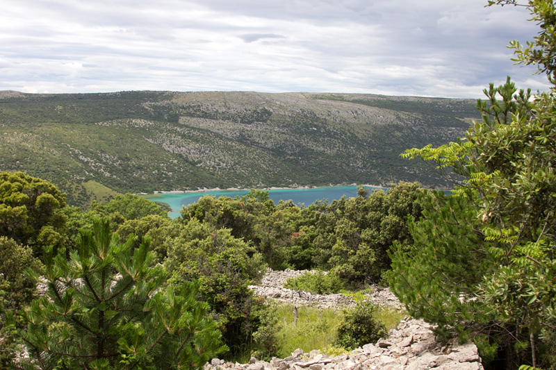 Kvarner: Otok Cres > Vrana 4