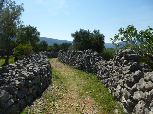 Cres>Wanderung Sv.Salvadur-Stadt Cres