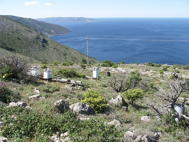 Otok CRES > CRESKI ZALJEV > Bucht von Valun