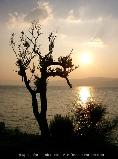 Otok Cres > Sonnenuntergang auf Kres