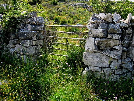 Otok CRES > Steinmauer