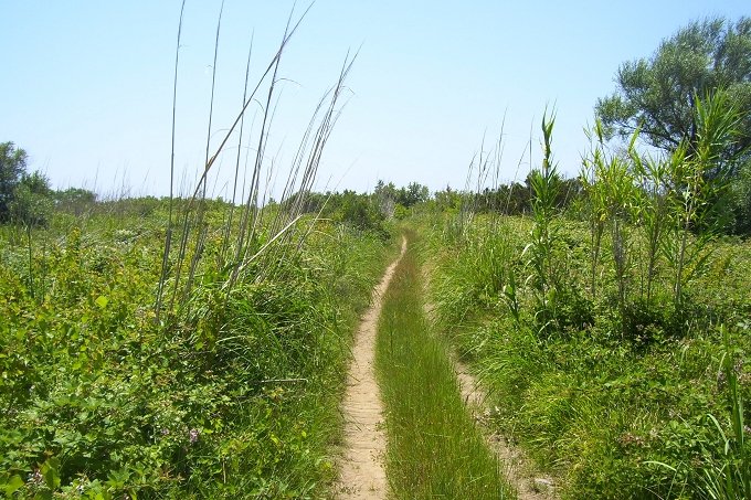 INSEL SUSAK > Wanderweg