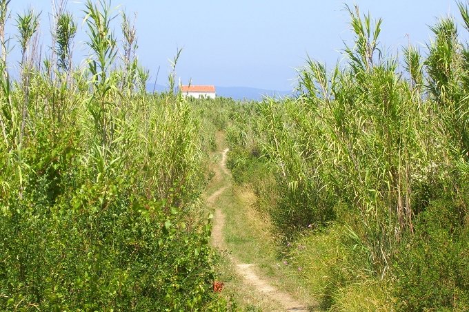 INSEL SUSAK > Wanderweg zum Kap Arat