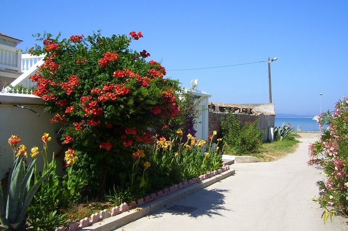 INSEL SUSAK > blütenreiche Gasse