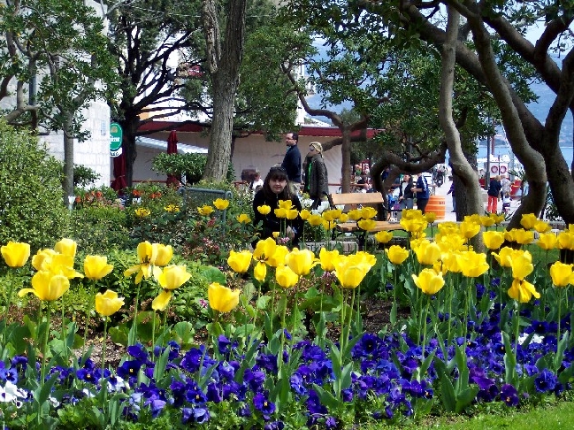 KRK > Stadtpark - Gradski park na Krku