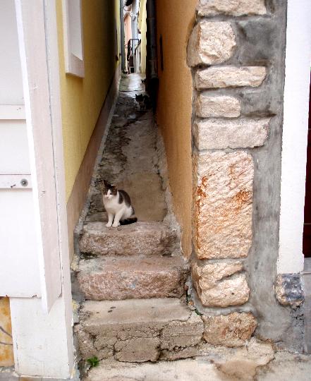 Baska > Schmale Gasse mit Katzen