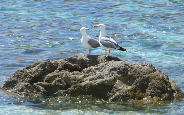 BASKA > Strand