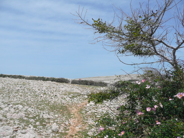 BASKA > Wanderung zum Hlam